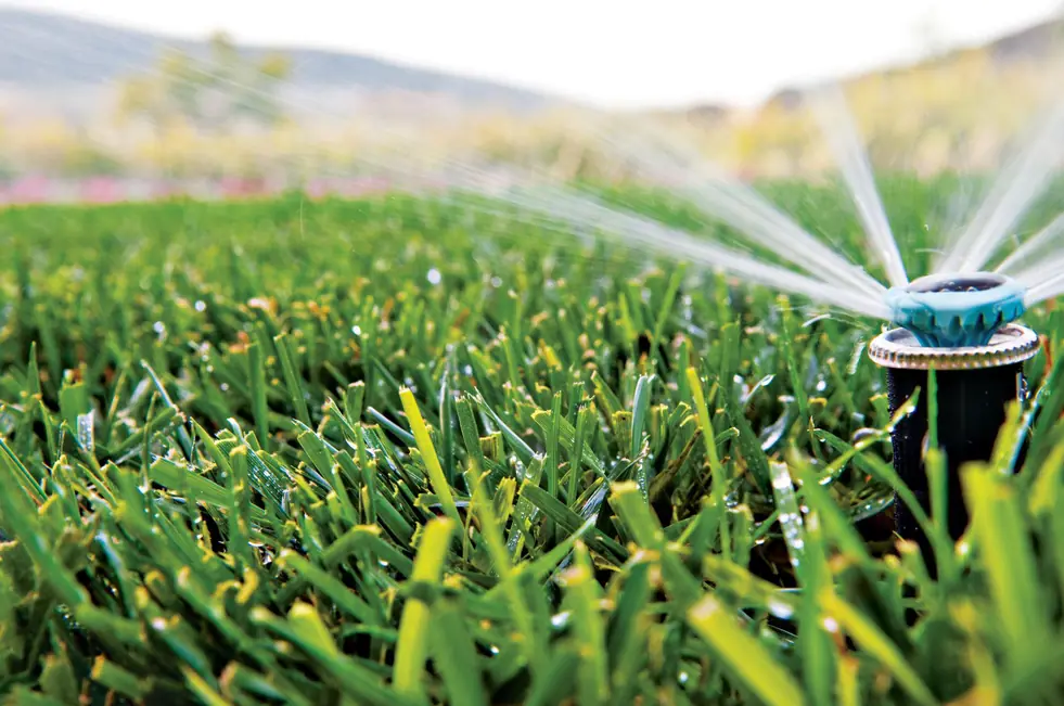 Close view of a sprinkler head set in grass