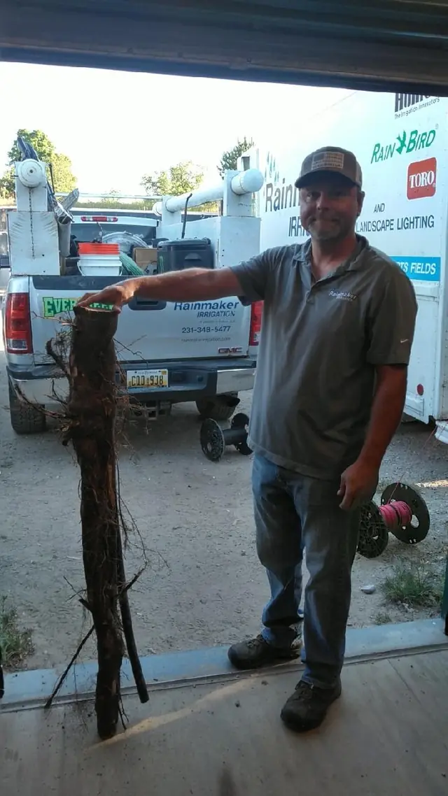 Rainmaker Irrigation technician in the stocked service truck bay holding a root-bound length of pipe