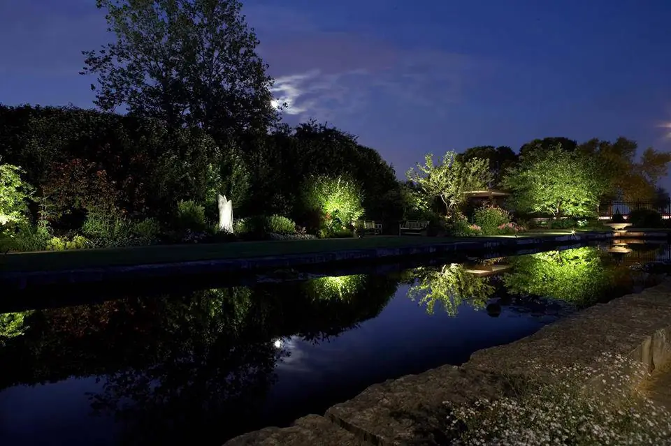 Landscape lighting glowing across a pond and garden at dusk, installed by Rainmaker Irrigation